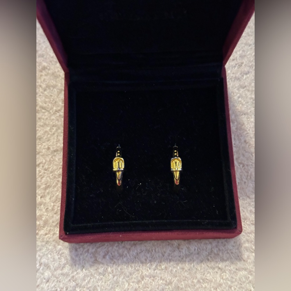 Fedoma Yellow Gold Vermeil Plated Hoop Earrings